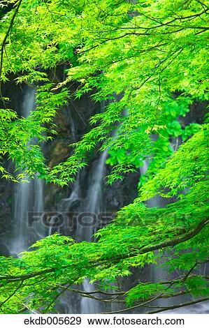 Stock Photo - Aomori Prefecture, Japan. Fotosearch