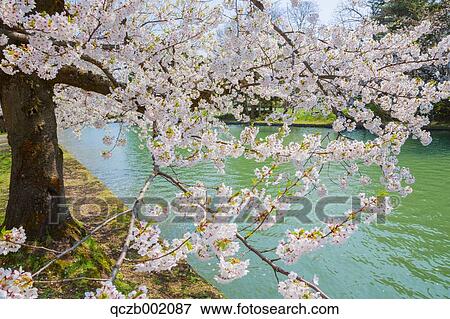 Stock Photo - Aomori Prefecture, Japan. Fotosearch