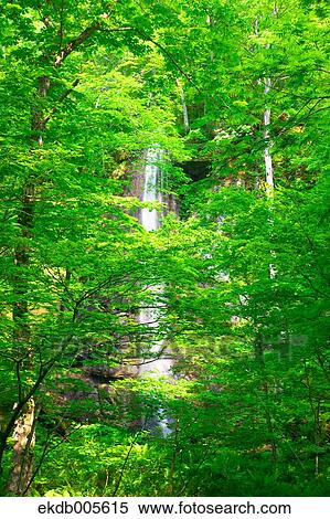 Aomori Prefecture, Japan View Large Photo Image Stock Photography - Aomori Prefecture, Japan. Fotosearch