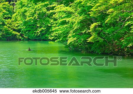 Aomori Prefecture, Japan View Large Photo Image Stock Photography - Aomori Prefecture, Japan. Fotosearch