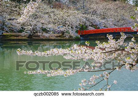 Aomori Prefecture, Japan View Large Photo Image Stock Photography - Aomori Prefecture, Japan. Fotosearch