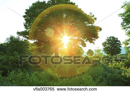 Aomori Prefecture, Japan View Large Photo Image Stock Photography - Aomori Prefecture, Japan. Fotosearch