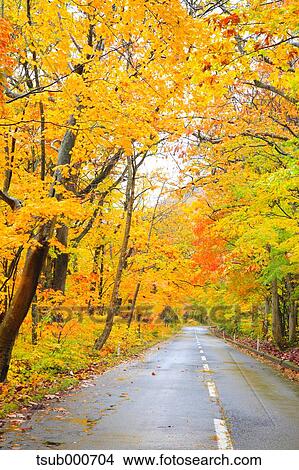 Picture - Autumn colors, Aomori Prefecture, Japan. Fotosearch