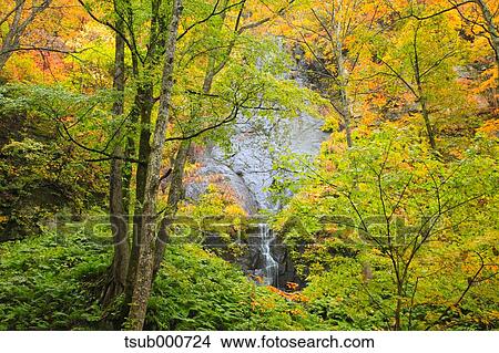 Autumn colors, Aomori Prefecture, Japan View Large Photo Image Picture - Autumn colors, Aomori Prefecture, Japan. Fotosearch