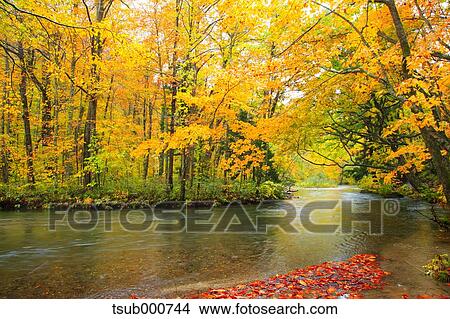 Autumn colors, Aomori Prefecture, Japan View Large Photo Image Picture - Autumn colors, Aomori Prefecture, Japan. Fotosearch