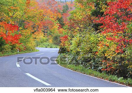Picture - Autumn colors, Aomori Prefecture, Japan. Fotosearch