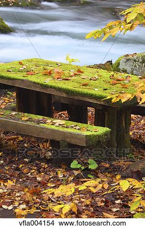 Autumn colors, Aomori Prefecture, Japan View Large Photo Image Picture - Autumn colors, Aomori Prefecture, Japan. Fotosearch