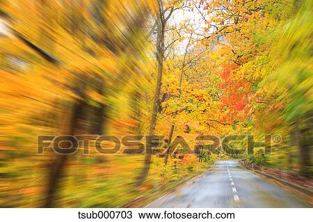 Autumn colors, Aomori Prefecture, Japan View Large Photo Image Stock Image - Autumn colors, Aomori Prefecture, Japan. Fotosearch