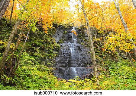 Stock Image - Autumn colors, Aomori Prefecture, Japan. Fotosearch