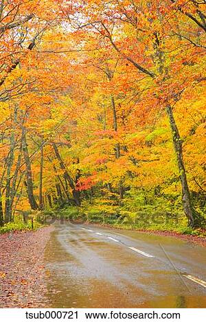 Autumn colors, Aomori Prefecture, Japan View Large Photo Image Stock Image - Autumn colors, Aomori Prefecture, Japan. Fotosearch