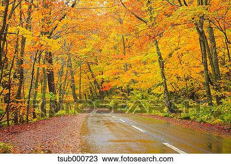 Stock Image - Autumn colors, Aomori Prefecture, Japan. Fotosearch