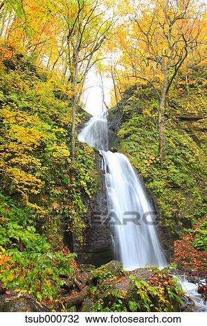 Autumn colors, Aomori Prefecture, Japan View Large Photo Image Stock Image - Autumn colors, Aomori Prefecture, Japan. Fotosearch