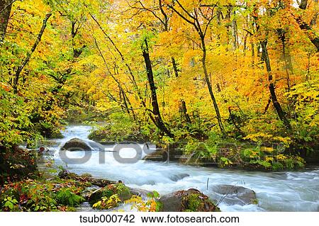Autumn colors, Aomori Prefecture, Japan View Large Photo Image Stock Image - Autumn colors, Aomori Prefecture, Japan. Fotosearch