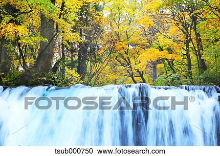 Stock Image - Autumn colors, Aomori Prefecture, Japan. Fotosearch