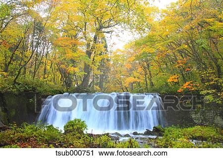 Autumn colors, Aomori Prefecture, Japan View Large Photo Image Stock Image - Autumn colors, Aomori Prefecture, Japan. Fotosearch