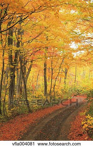 Stock Image - Autumn colors, Aomori Prefecture, Japan. Fotosearch