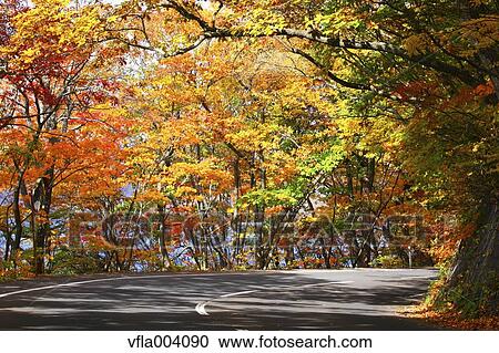 Autumn colors, Aomori Prefecture, Japan View Large Photo Image Stock Image - Autumn colors, Aomori Prefecture, Japan. Fotosearch