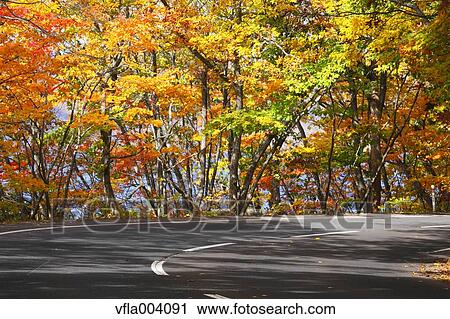 Autumn colors, Aomori Prefecture, Japan View Large Photo Image Stock Image - Autumn colors, Aomori Prefecture, Japan. Fotosearch