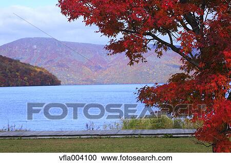 Autumn colors, Aomori Prefecture, Japan View Large Photo Image Stock Image - Autumn colors, Aomori Prefecture, Japan. Fotosearch