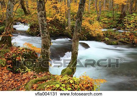Autumn colors, Aomori Prefecture, Japan View Large Photo Image Stock Image - Autumn colors, Aomori Prefecture, Japan. Fotosearch