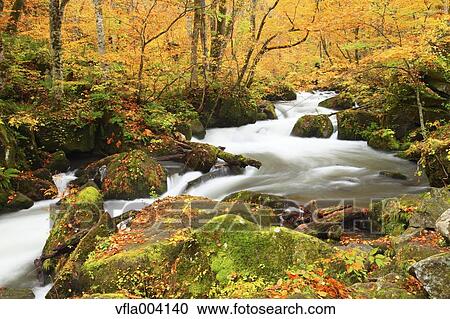 Stock Image - Autumn colors, Aomori Prefecture, Japan. Fotosearch