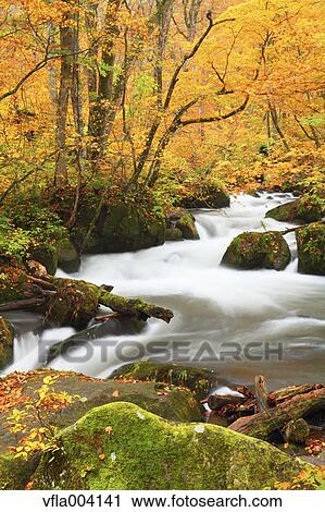 Autumn colors, Aomori Prefecture, Japan View Large Photo Image Stock Image - Autumn colors, Aomori Prefecture, Japan. Fotosearch