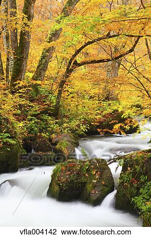Autumn colors, Aomori Prefecture, Japan View Large Photo Image Stock Image - Autumn colors, Aomori Prefecture, Japan. Fotosearch