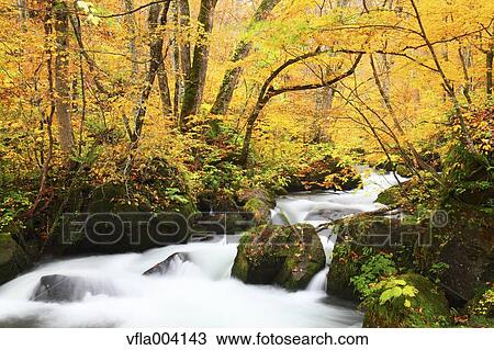 Autumn colors, Aomori Prefecture, Japan View Large Photo Image Stock Image - Autumn colors, Aomori Prefecture, Japan. Fotosearch