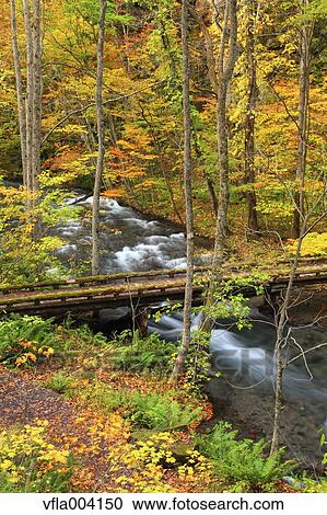 Autumn colors, Aomori Prefecture, Japan View Large Photo Image Stock Image - Autumn colors, Aomori Prefecture, Japan. Fotosearch