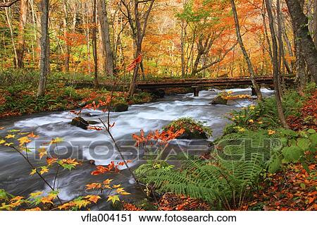 Stock Image - Autumn colors, Aomori Prefecture, Japan. Fotosearch