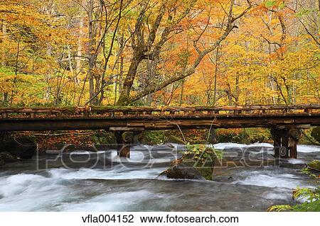 Autumn colors, Aomori Prefecture, Japan View Large Photo Image Stock Image - Autumn colors, Aomori Prefecture, Japan. Fotosearch