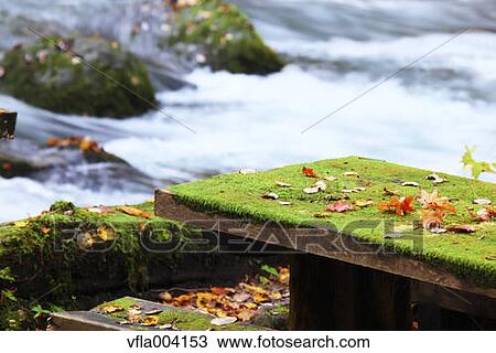 Autumn colors, Aomori Prefecture, Japan View Large Photo Image Stock Image - Autumn colors, Aomori Prefecture, Japan. Fotosearch