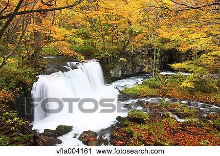 Stock Image - Autumn colors, Aomori Prefecture, Japan. Fotosearch