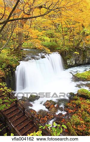 Autumn colors, Aomori Prefecture, Japan View Large Photo Image Stock Image - Autumn colors, Aomori Prefecture, Japan. Fotosearch