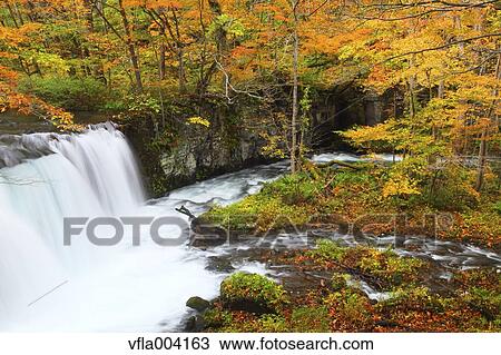 Autumn colors, Aomori Prefecture, Japan View Large Photo Image Stock Image - Autumn colors, Aomori Prefecture, Japan. Fotosearch
