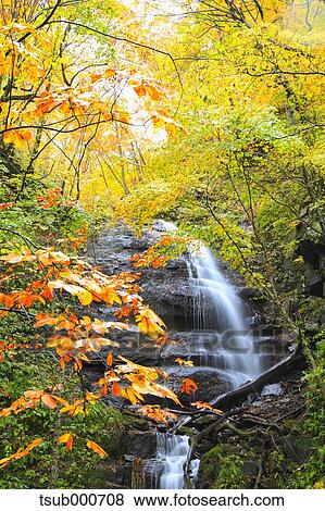 Autumn colors, Aomori Prefecture, Japan View Large Photo Image Stock Photo - Autumn colors, Aomori Prefecture, Japan. Fotosearch
