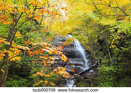 Stock Photo - Autumn colors, Aomori Prefecture, Japan. Fotosearch