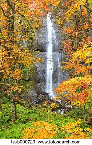 Stock Photo - Autumn colors, Aomori Prefecture, Japan. Fotosearch