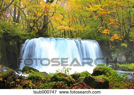 Stock Photo - Autumn colors, Aomori Prefecture, Japan. Fotosearch