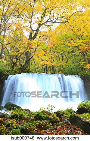 Stock Photo - Autumn colors, Aomori Prefecture, Japan. Fotosearch