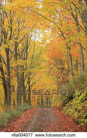 Autumn colors, Aomori Prefecture, Japan View Large Photo Image Stock Photo - Autumn colors, Aomori Prefecture, Japan. Fotosearch
