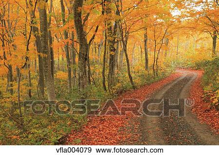 Stock Photo - Autumn colors, Aomori Prefecture, Japan. Fotosearch