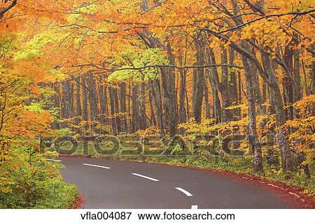 Stock Photo - Autumn colors, Aomori Prefecture, Japan. Fotosearch
