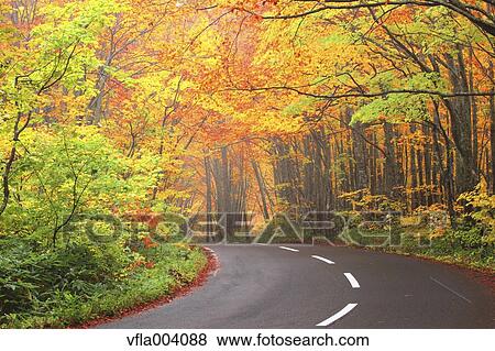 Autumn colors, Aomori Prefecture, Japan View Large Photo Image Stock Photo - Autumn colors, Aomori Prefecture, Japan. Fotosearch
