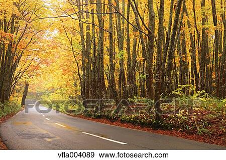 Autumn colors, Aomori Prefecture, Japan View Large Photo Image Stock Photo - Autumn colors, Aomori Prefecture, Japan. Fotosearch