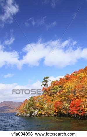 Autumn colors, Aomori Prefecture, Japan View Large Photo Image Stock Photo - Autumn colors, Aomori Prefecture, Japan. Fotosearch