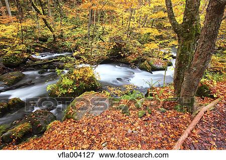Stock Photo - Autumn colors, Aomori Prefecture, Japan. Fotosearch