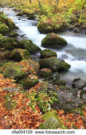Stock Photo - Autumn colors, Aomori Prefecture, Japan. Fotosearch