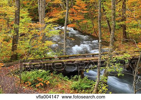 Stock Photo - Autumn colors, Aomori Prefecture, Japan. Fotosearch