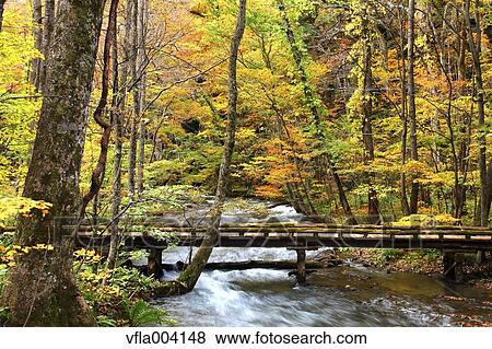 Stock Photo - Autumn colors, Aomori Prefecture, Japan. Fotosearch